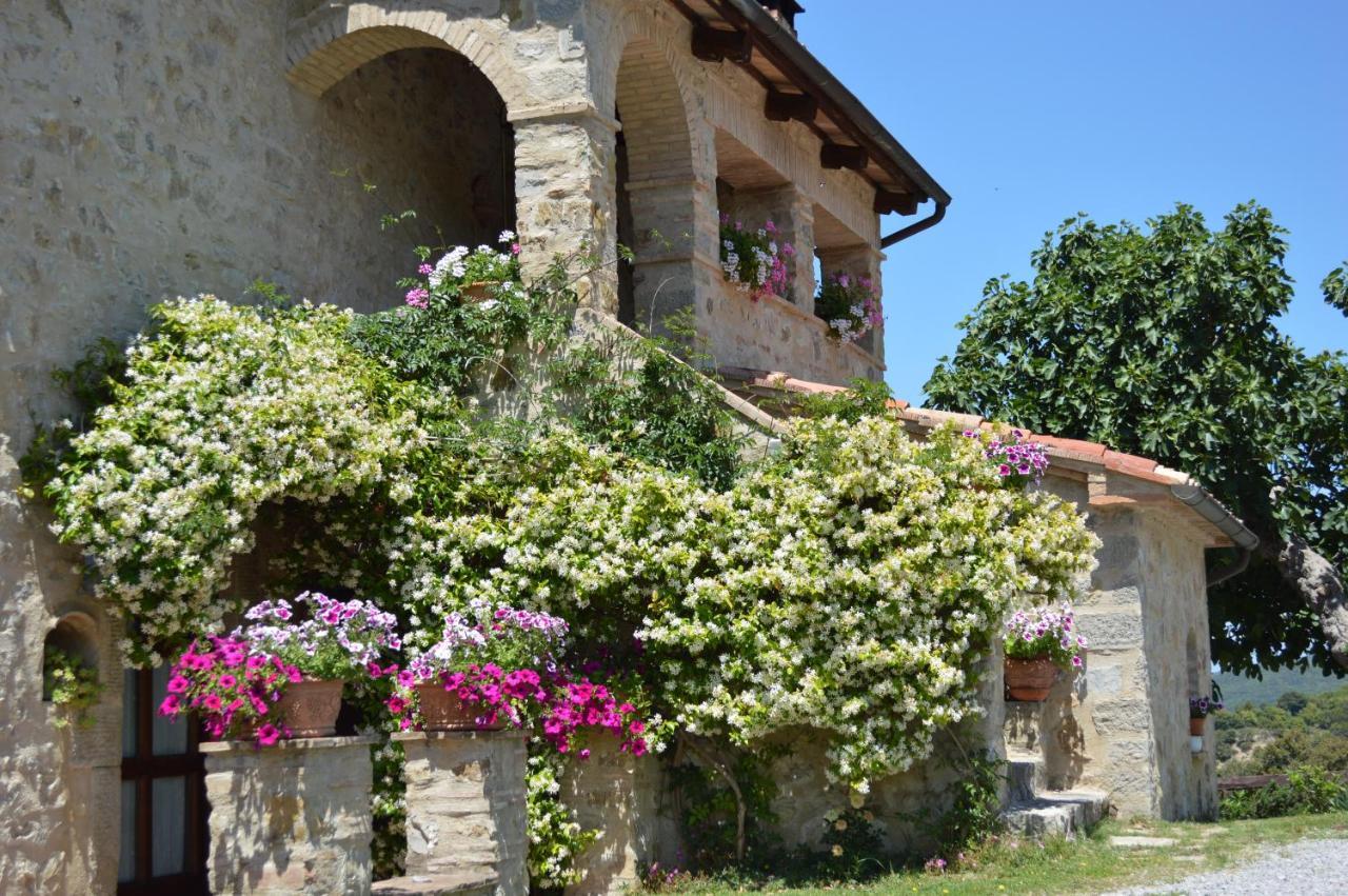 Villa Bellavista Seggiano Exterior foto