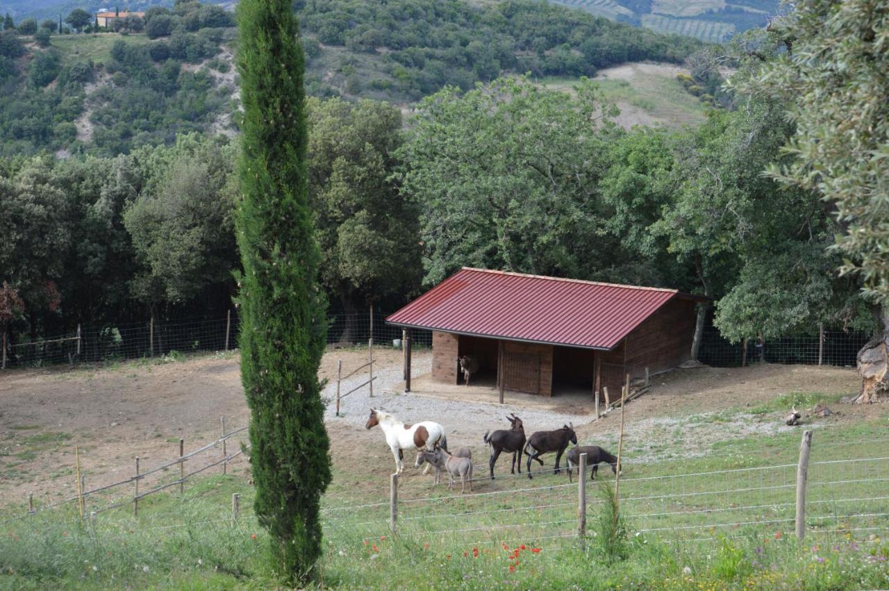 Villa Bellavista Seggiano Exterior foto