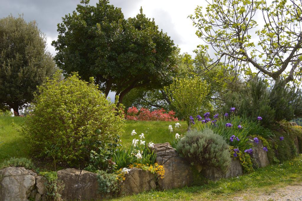 Villa Bellavista Seggiano Exterior foto
